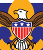 A Boy Scout patch